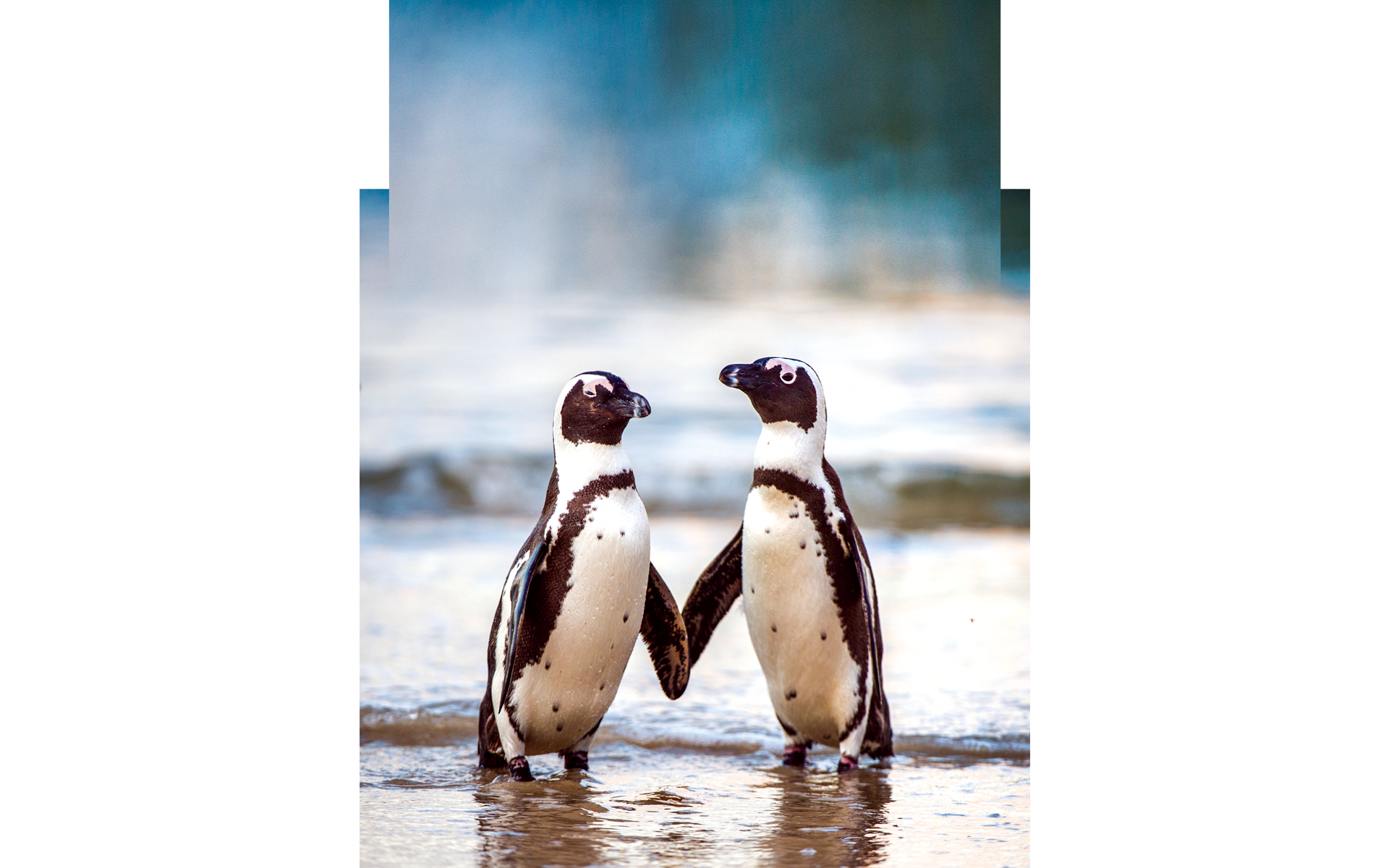 Science square (Issue 122)