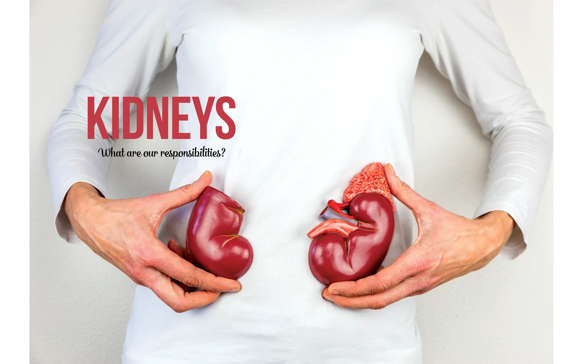 Kidneys: What Are Our Responsibilities?